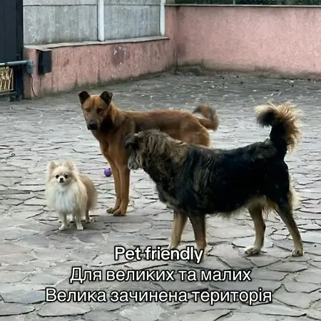 кімната студія Pet - Friendly