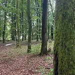 кімната студія Pet - Friendly *